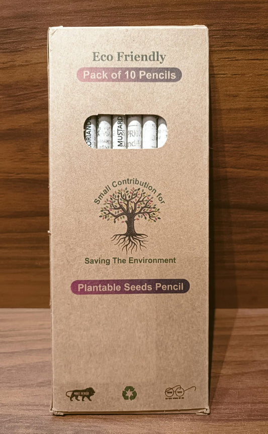 Plantable Paper Pencil Box