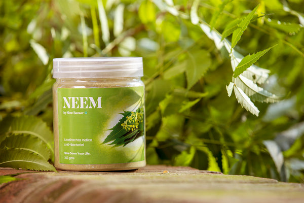 Neem Powder