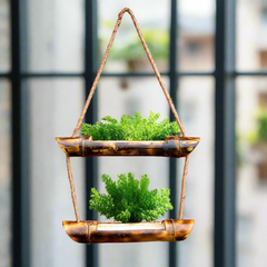 Bamboo Planter